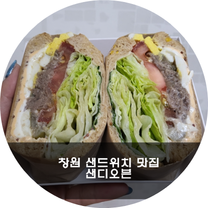 샌디오븐 이미지