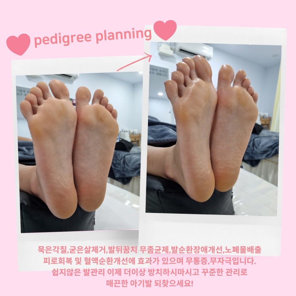 이노플래닝 이미지