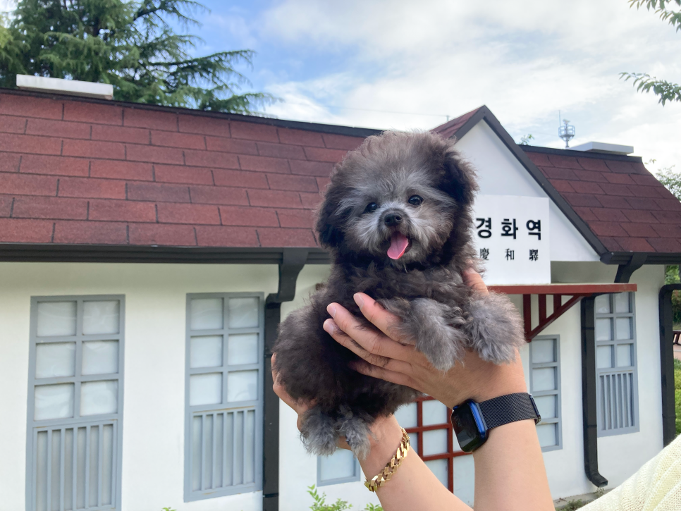 맘마베베 이미지