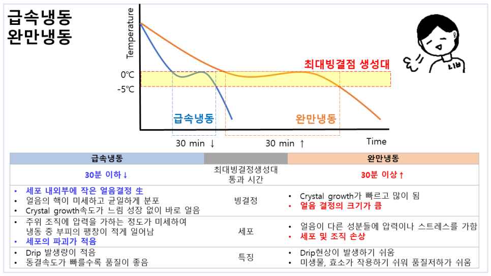 성대식품 이미지