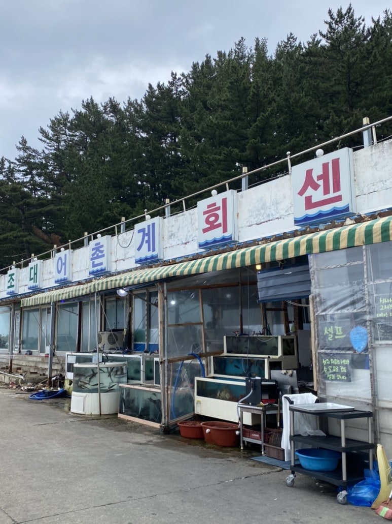 수도어촌계 이미지