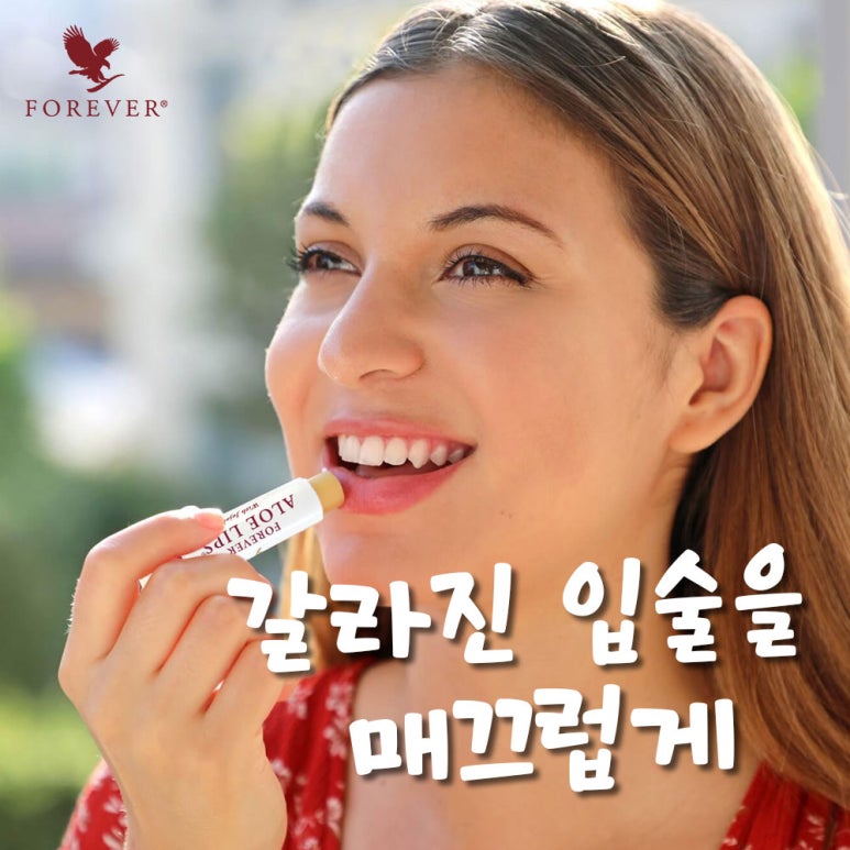 포에버코리아(유) 이미지