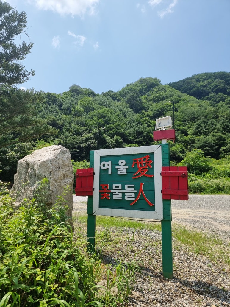 여울애꽃물들인 이미지