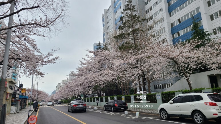 세원세탁소 이미지