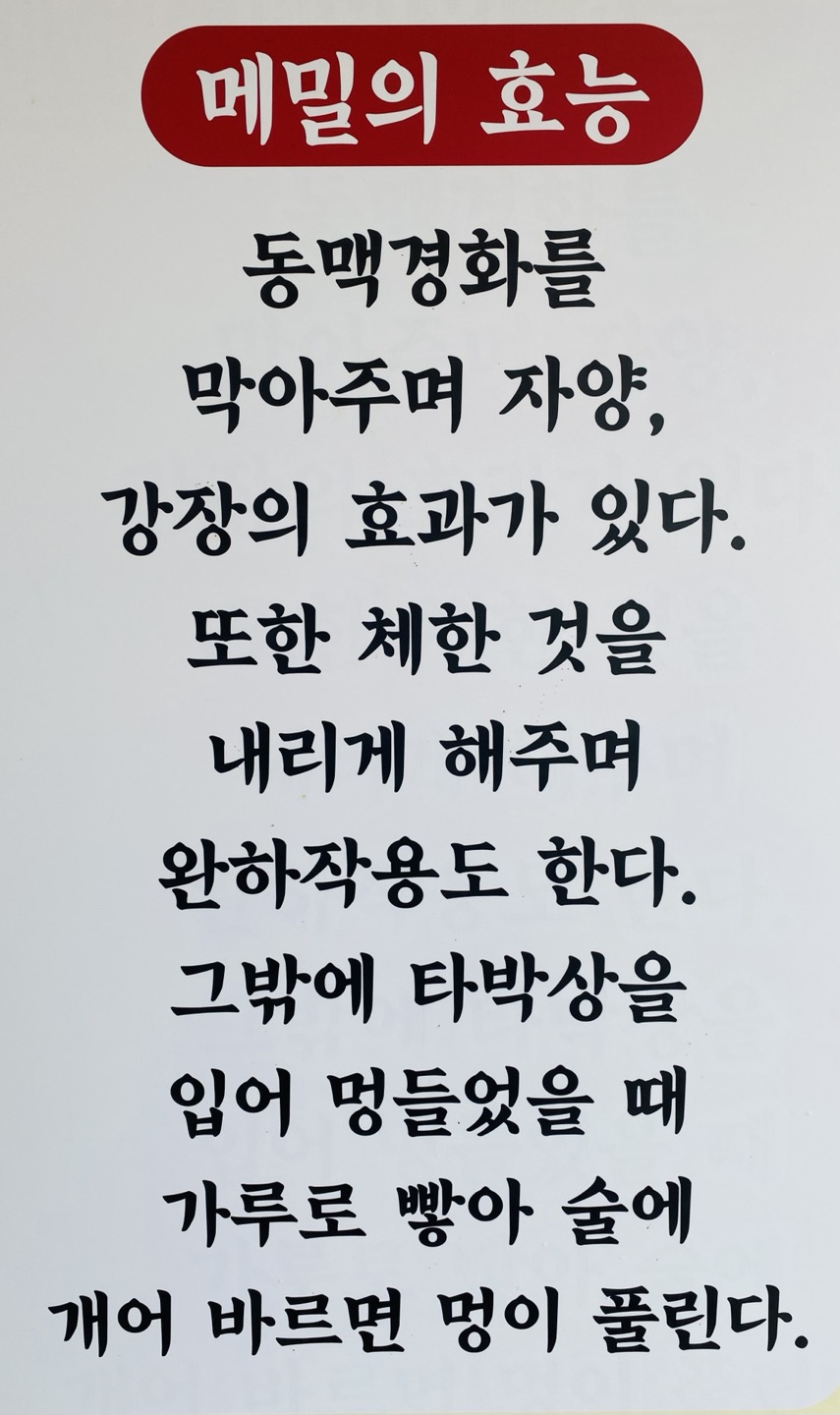 옥산막국수 이미지
