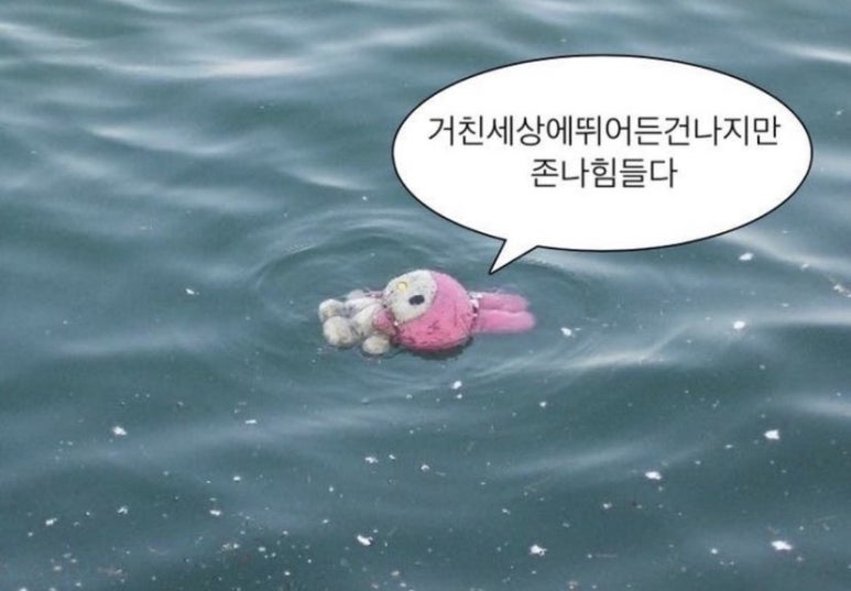 감포일출복어 이미지