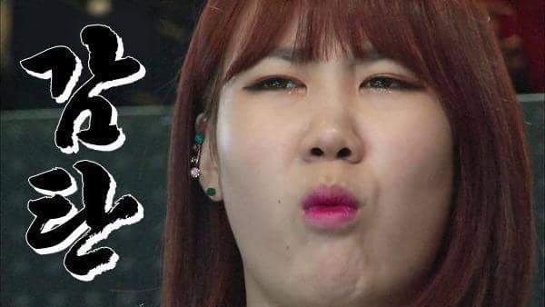 밀호밀 이미지