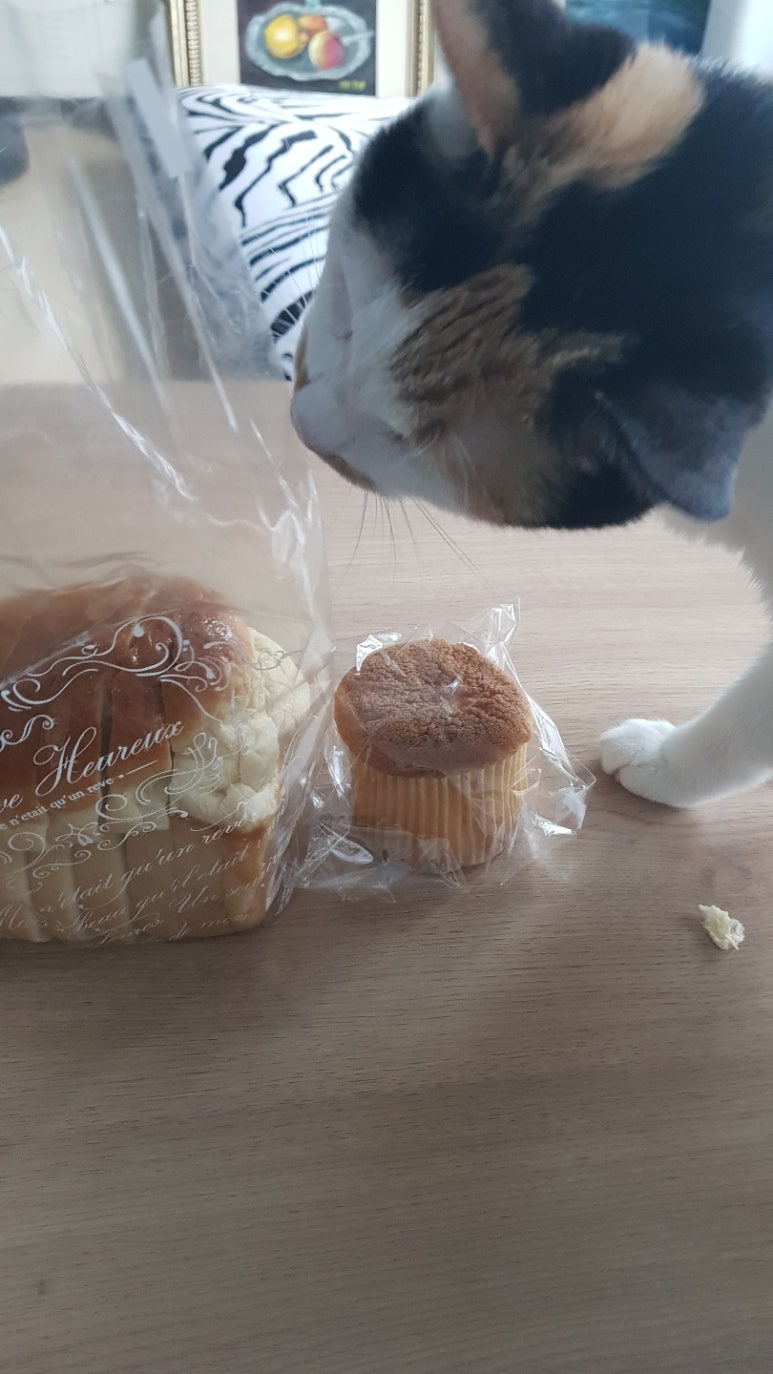몽이네빵집 이미지