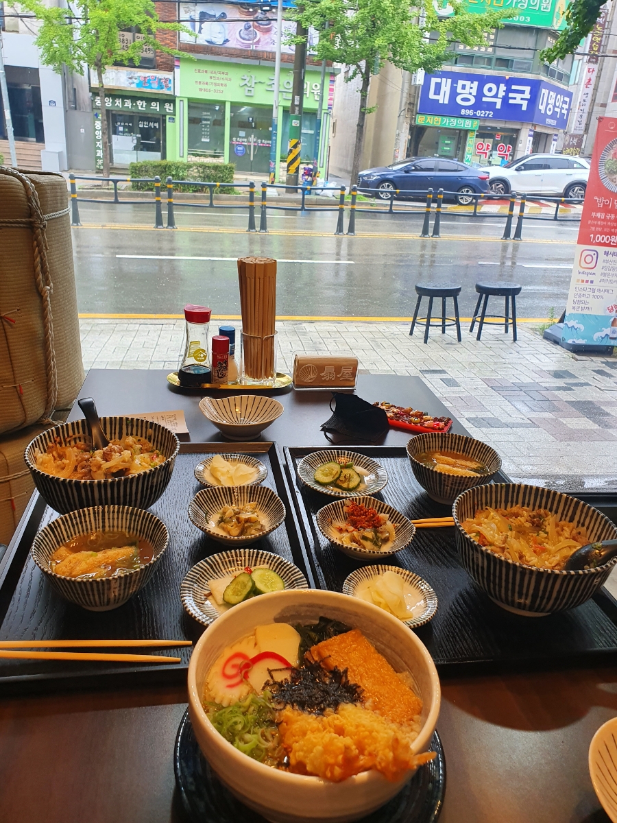 붉은부채집 이미지