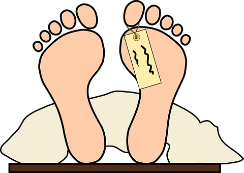 주식회사 하이닥 이미지