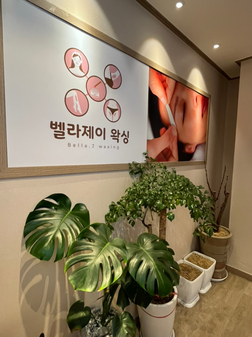 벨라제이 속눈썹 이미지