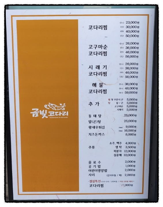 금빛코다리 이미지
