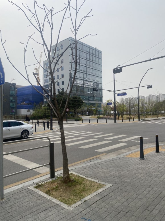 온니네일 이미지