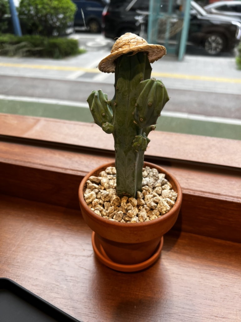 카페엘마르코 이미지