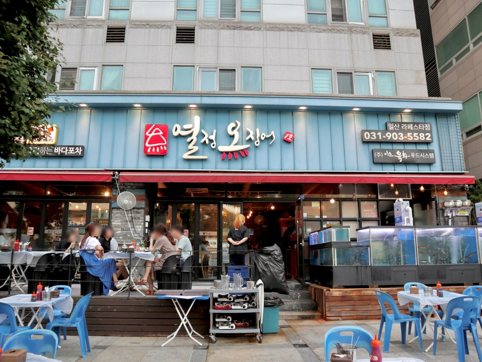 열정오징어 이미지