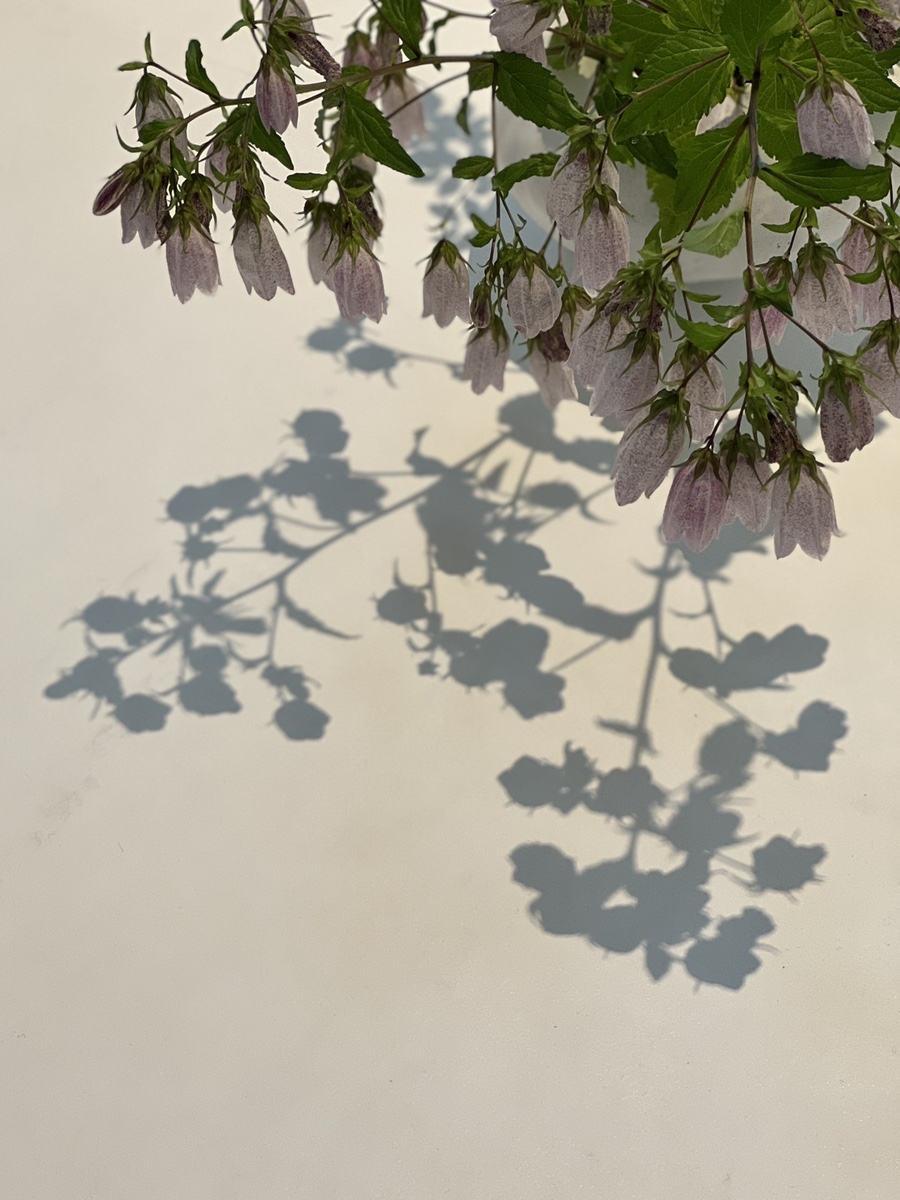 반김craft 이미지