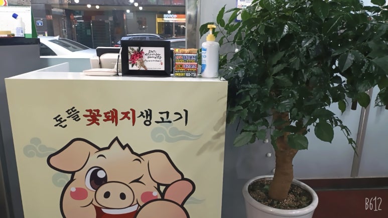 돈뜰꽃돼지 이미지
