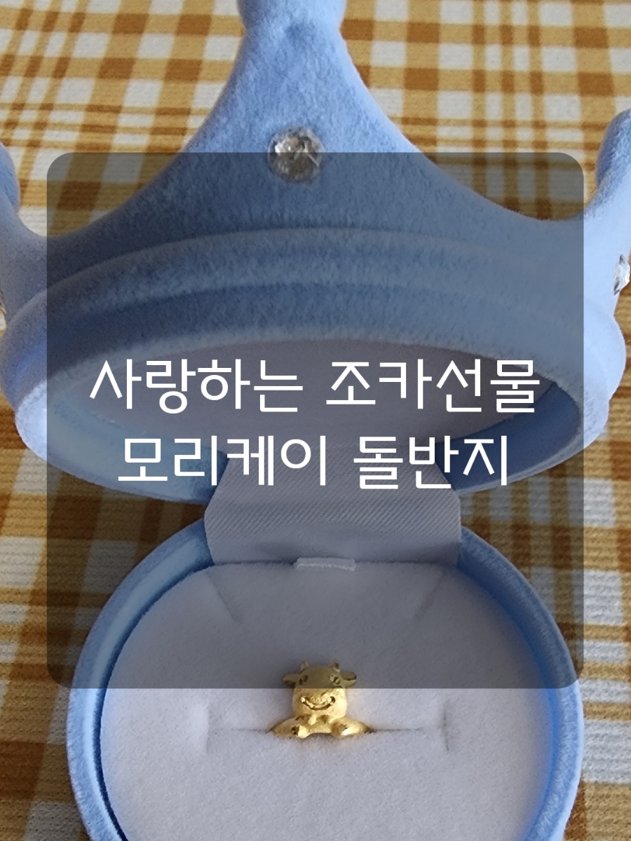 (주) 케이누리 이미지