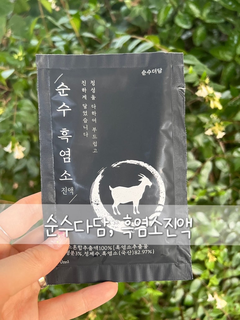 순수다담 이미지