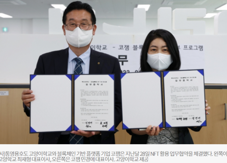 통영용호도고양이학교 이미지