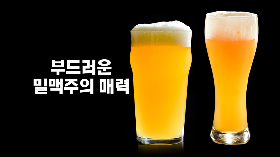 애드바이스 이미지