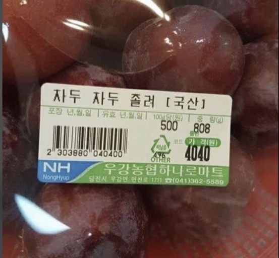 오늘푸드 이미지
