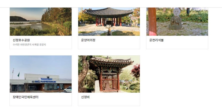 본가은행나무집 이미지