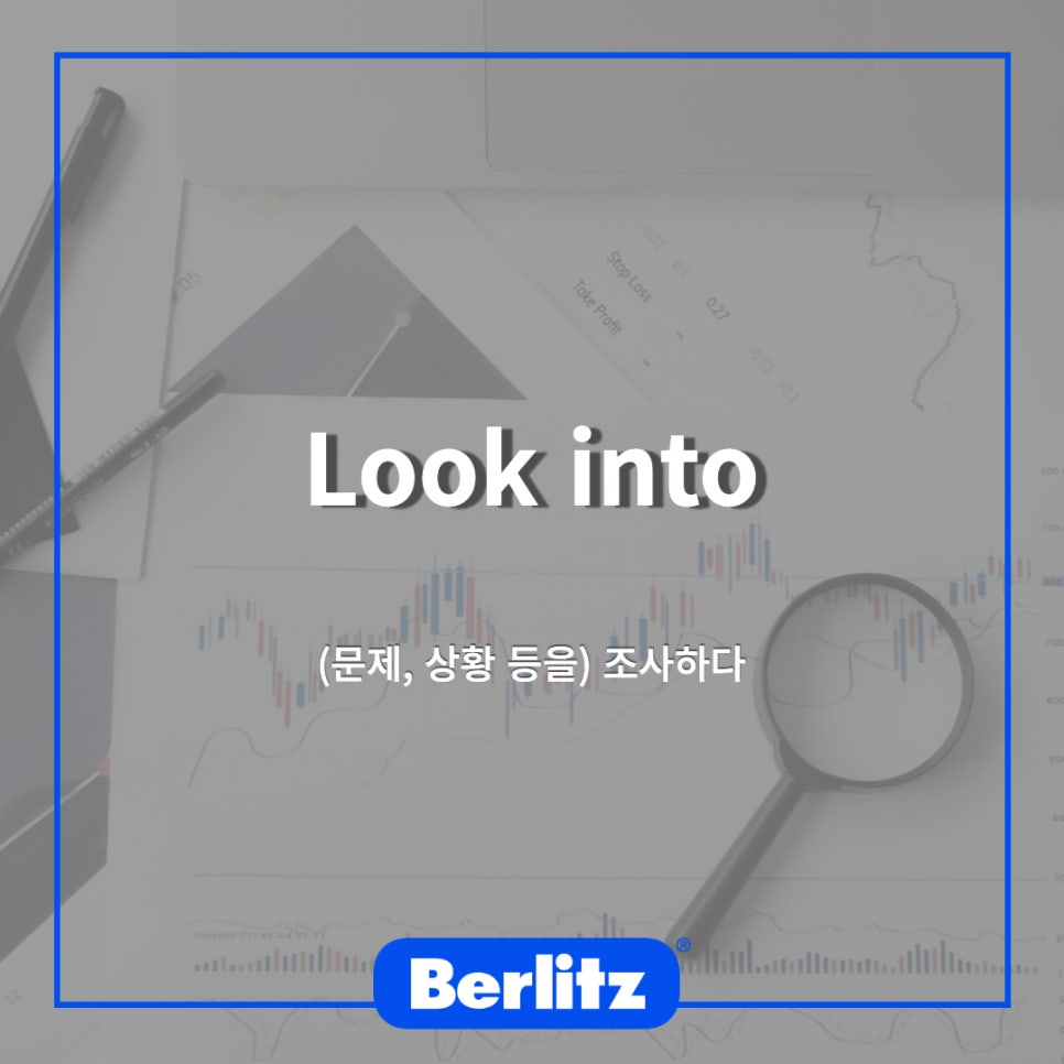 벌리츠코리아(주) 이미지