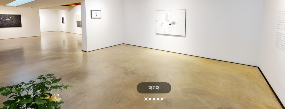 듀콘 이미지