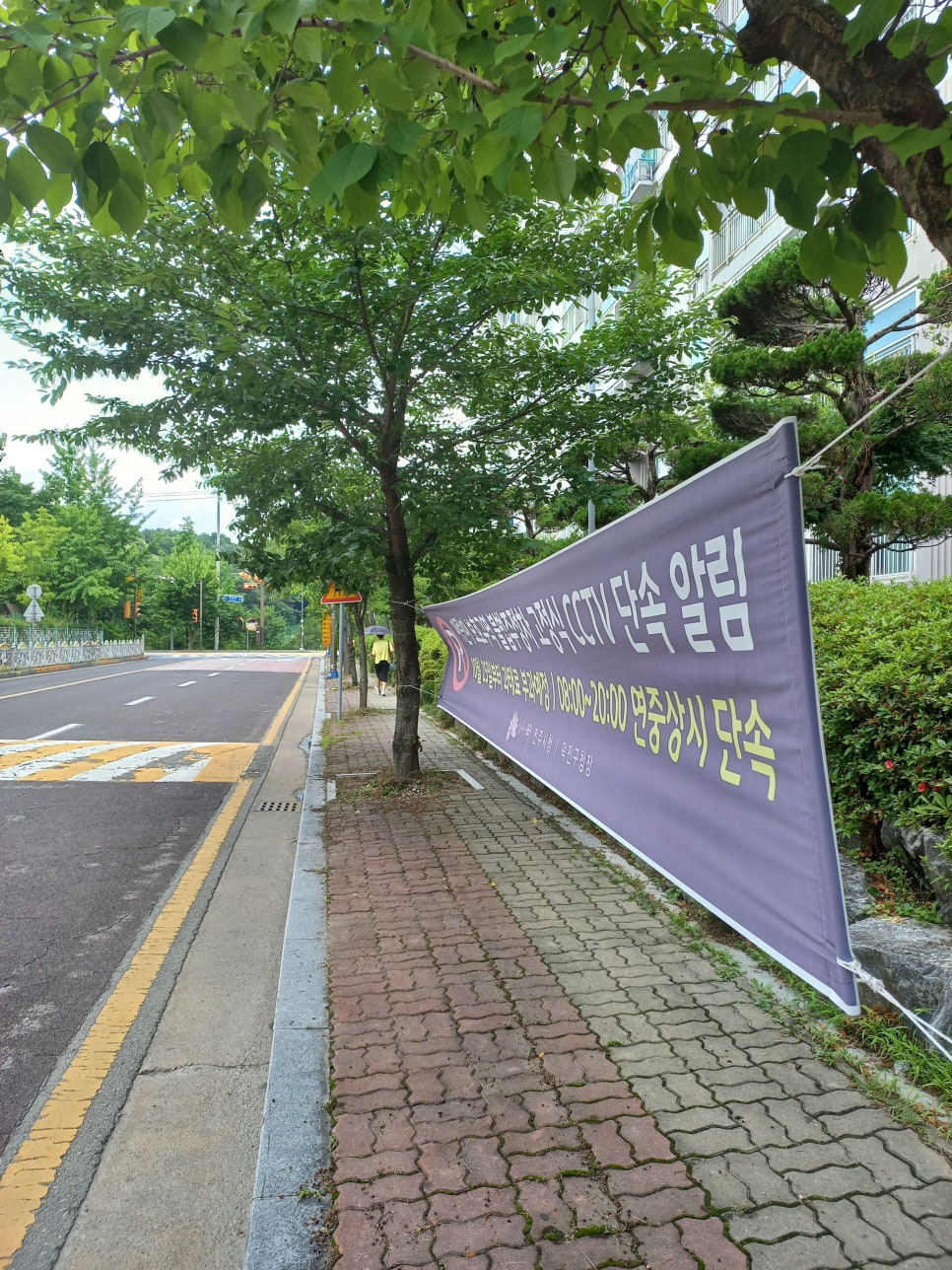 전주현수막/친환경현수막 이미지