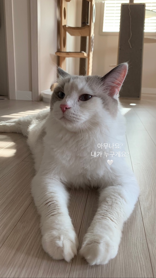 카페두다 이미지