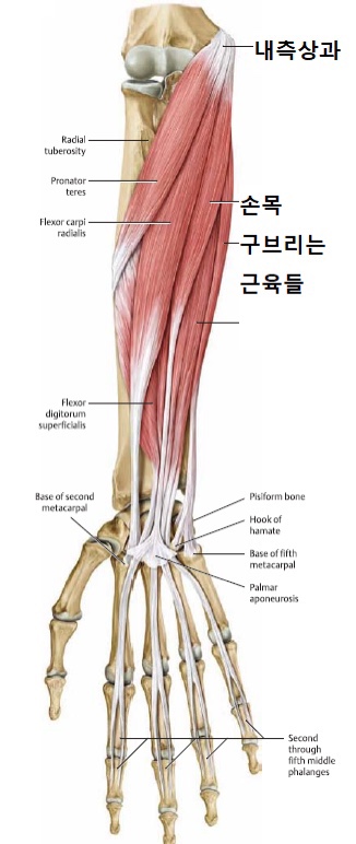 바른습관PT 이미지