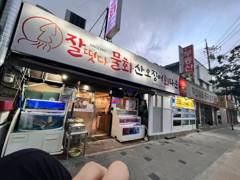오늘도회떳다 이미지