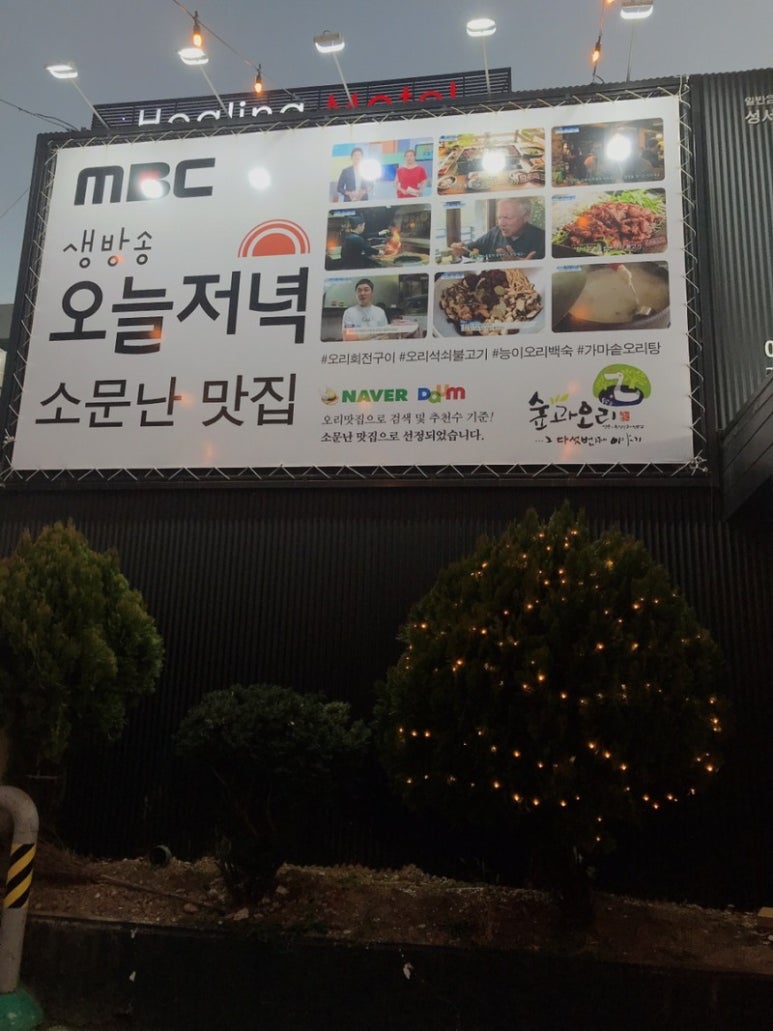 숲오리 이미지