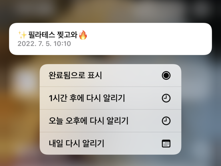 라비타돌체 이미지