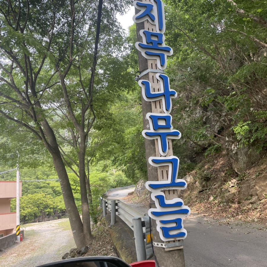사지목나무그늘 이미지