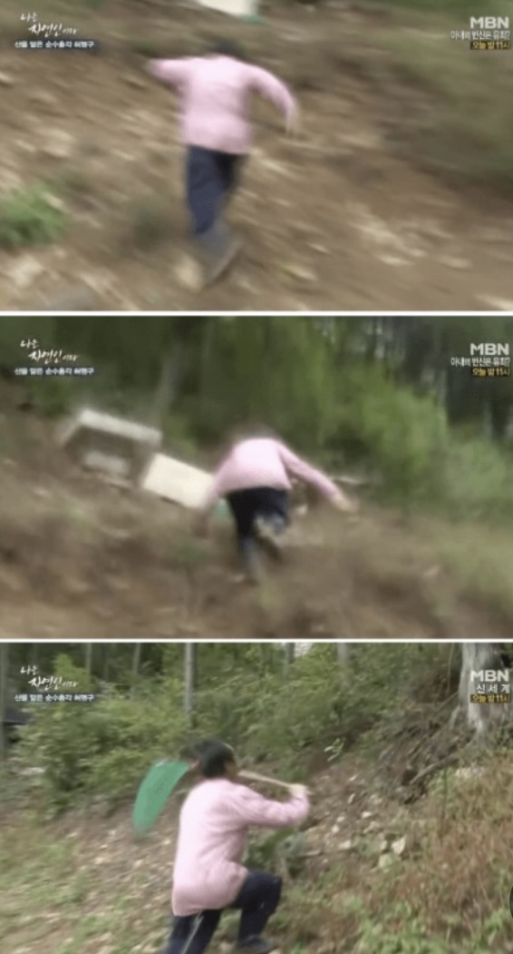 스시우미 이미지