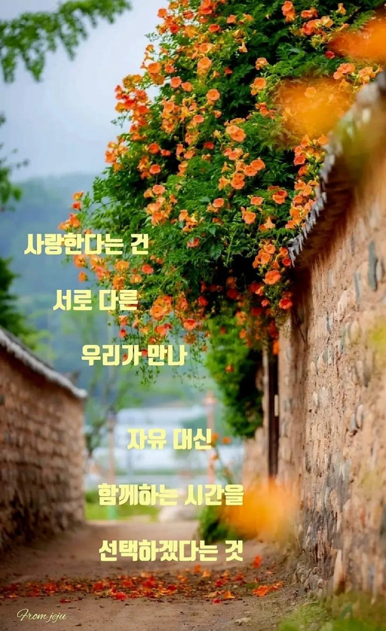 블루-존 이미지