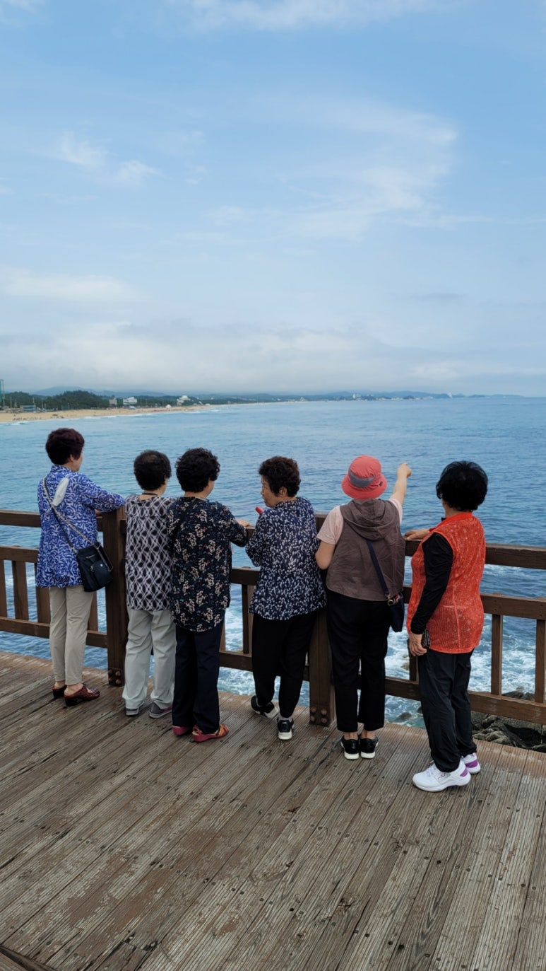 정선수산 이미지