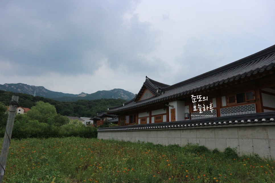 은평한옥마을 강아지 산책 코스 및 즐길 거리 — 사진 20