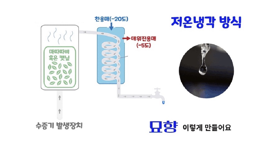 디알메디테크 이미지