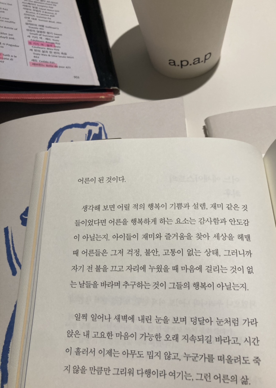 어피스어피스 이미지