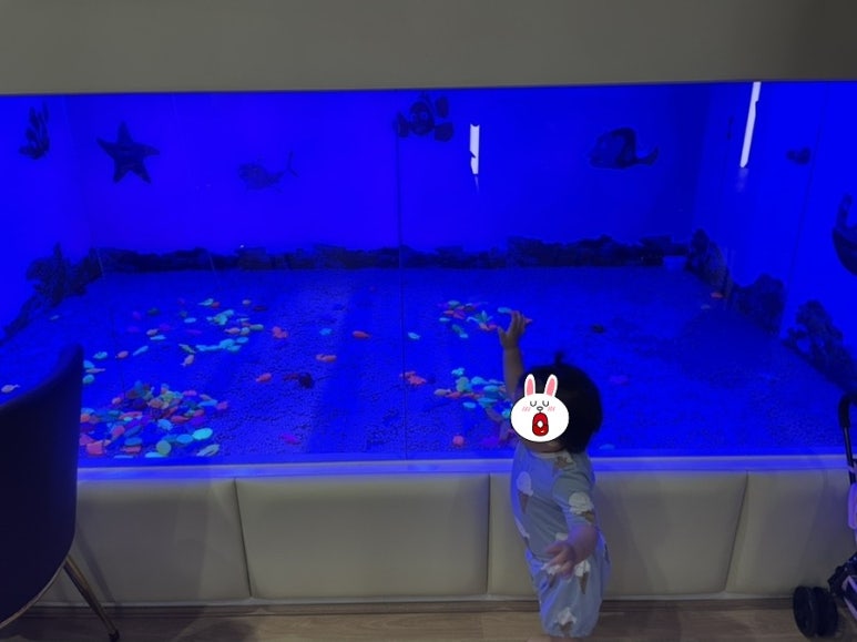 노리파크 분당야탑점 이미지