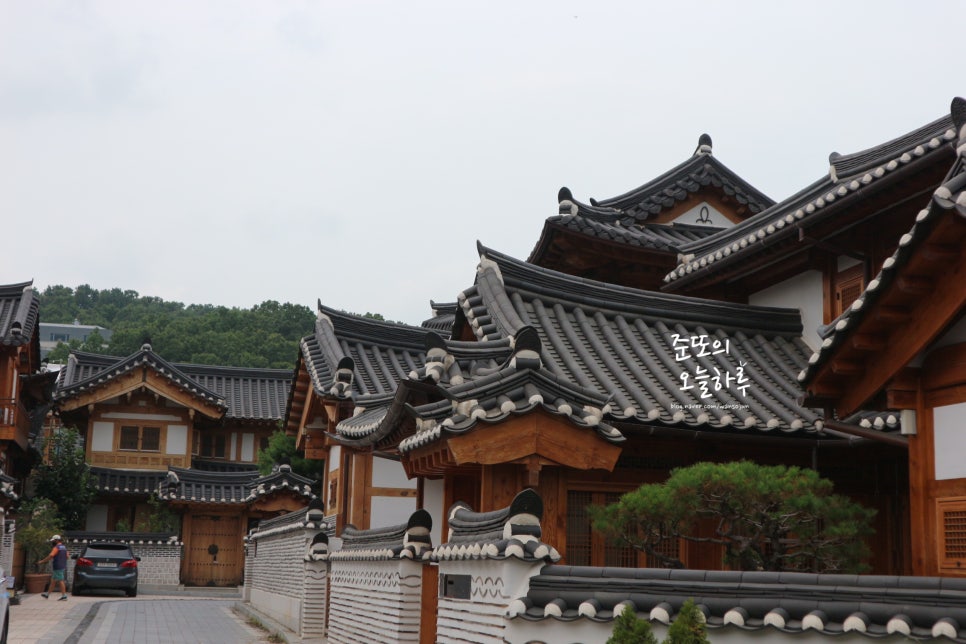 은평한옥마을 강아지 산책 코스 및 즐길 거리 — 사진 19