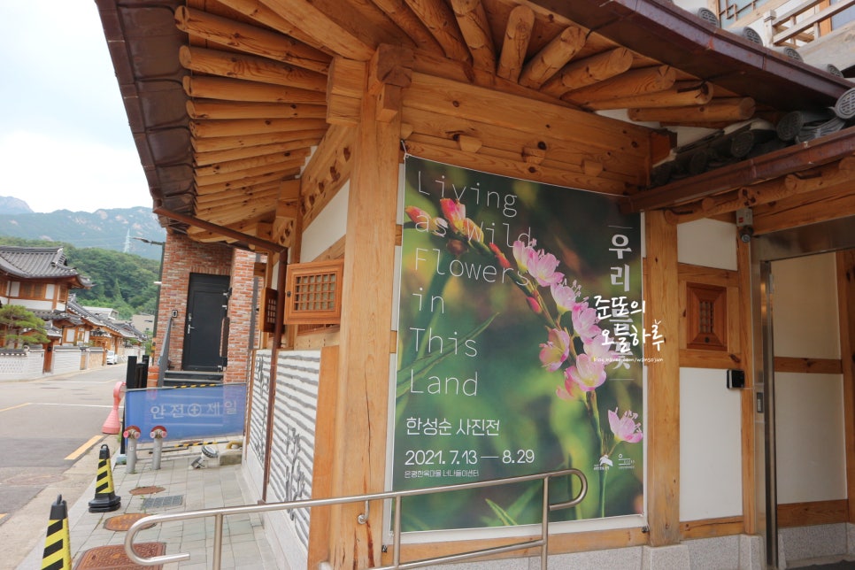 은평한옥마을 강아지 산책 코스 및 즐길 거리 — 사진 12