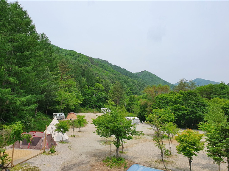 용골횟집 이미지