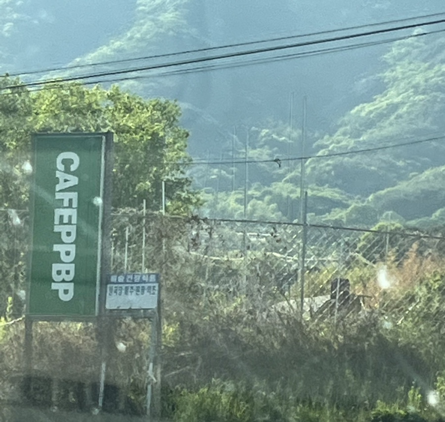 피피비피 이미지