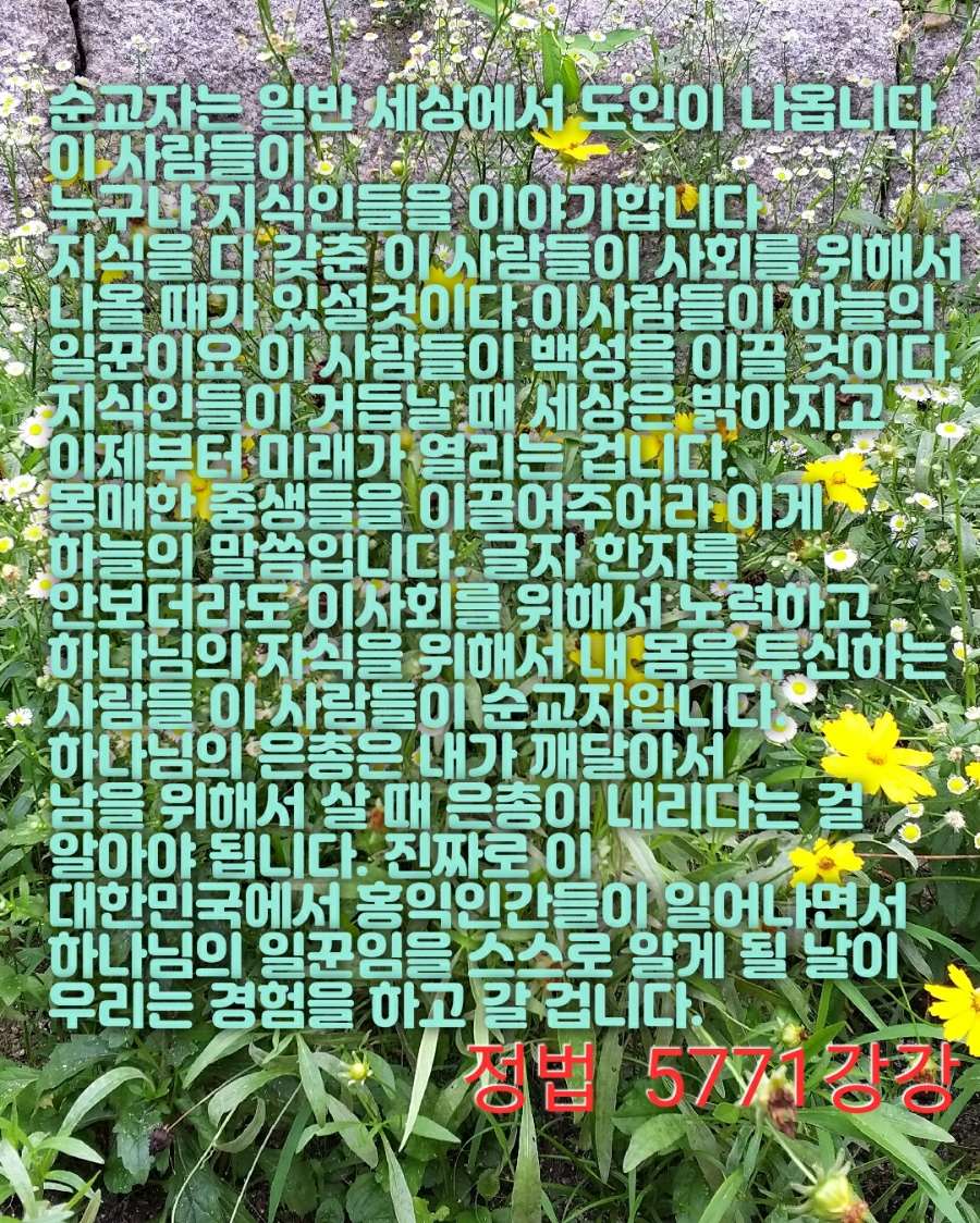 월드홍익선원 이미지