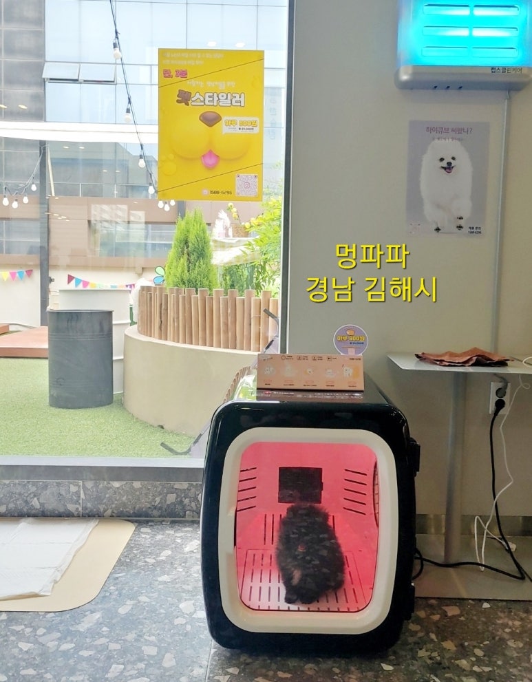 주식회사 하이나 이미지