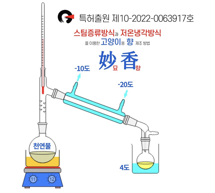 디알메디테크 이미지